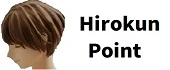 Hirokun point