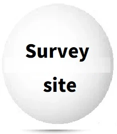 Survey>
    <a href=